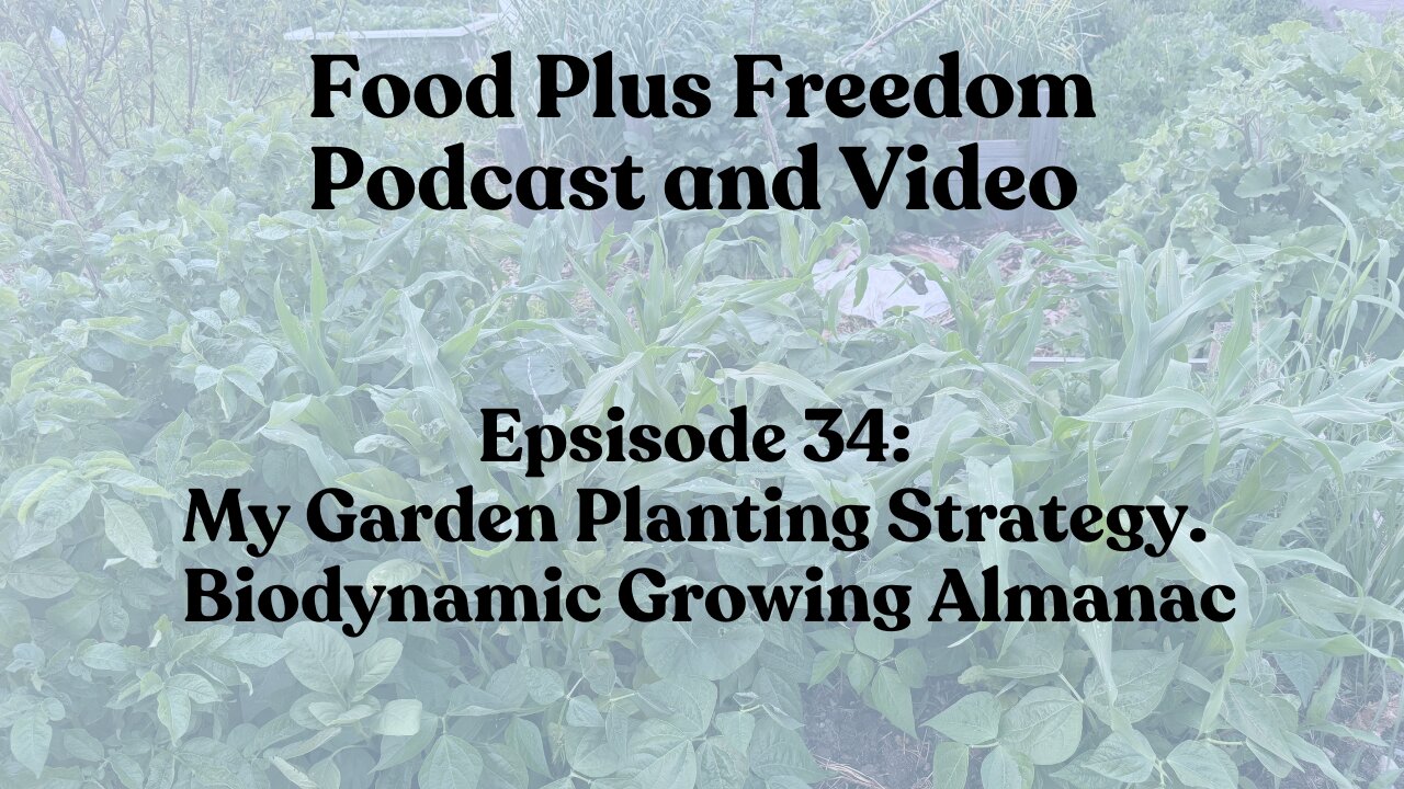 Episode 34: My Gardening Planting Strategy videos