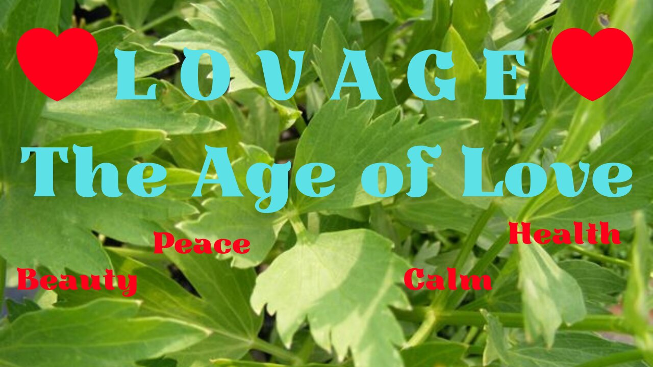 Lovage - The Age of Love