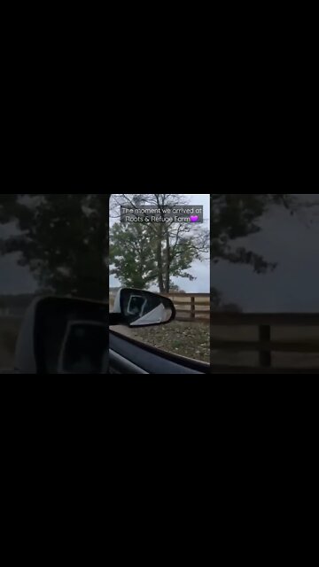 The moment we arrived at Roots & Refuge Farm 💜