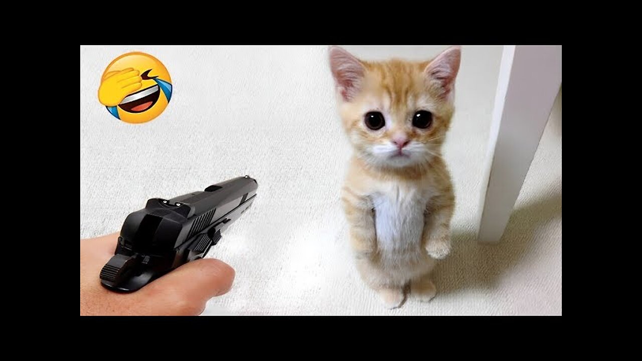 Try not to laugh with these funniest animals 😂