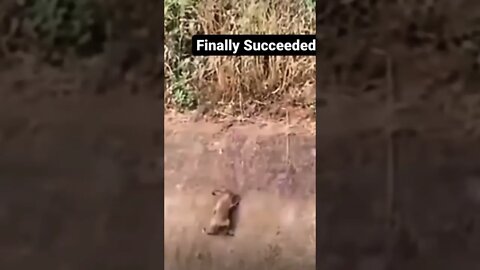 Never give up #shorts #viral #hype #trendingshorts #music #youtubeshorts