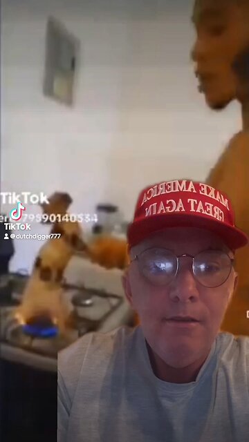 THOSE ILLEGAL BASTARDS EVEN EATS CATS