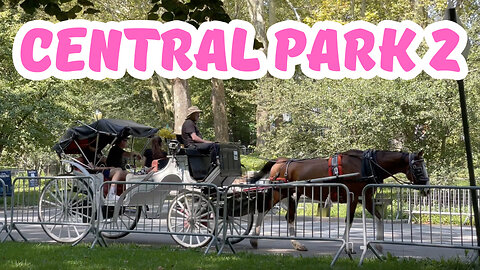 Central Park 2 - New York City Walking Tour - New York Travel - New York Reisen