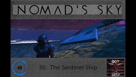 Nomad's Sky 36 - The Sentinel Ship