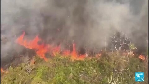 Bolivia: casi dos millones de hectáreas calcinadas por incendios forestales en Santa Cruz