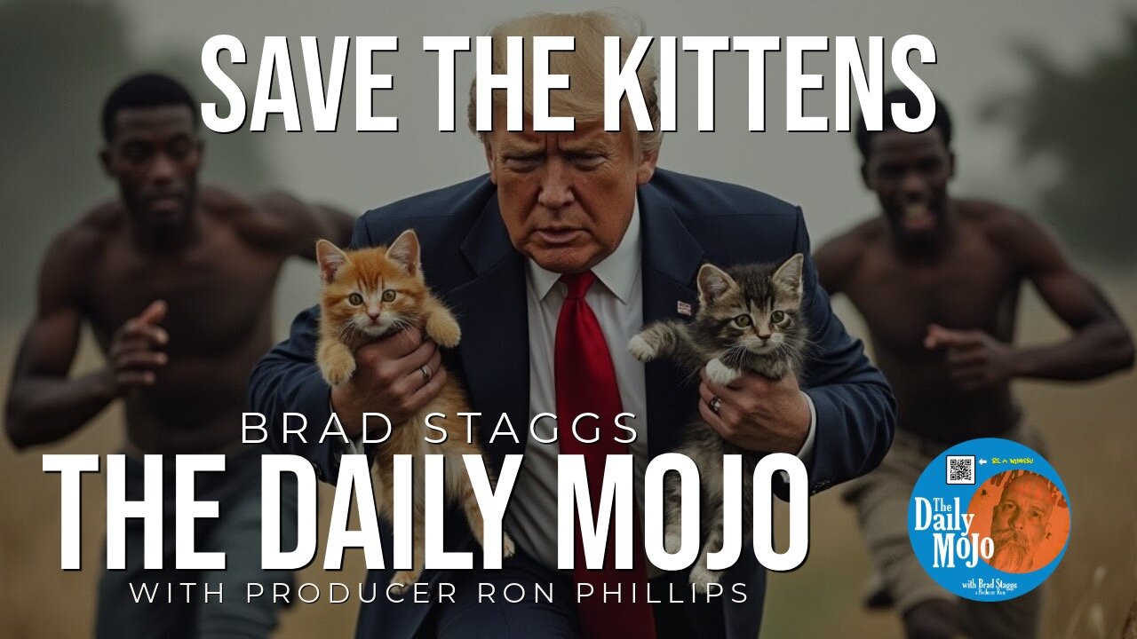 Save The Kittens - The Daily Mojo 091124