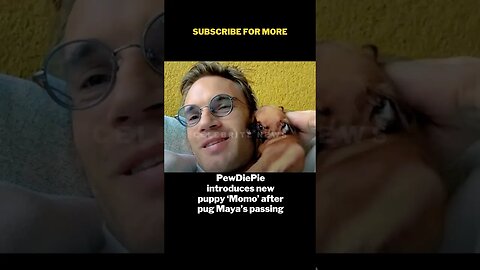 PewDiePie introduces new puppy