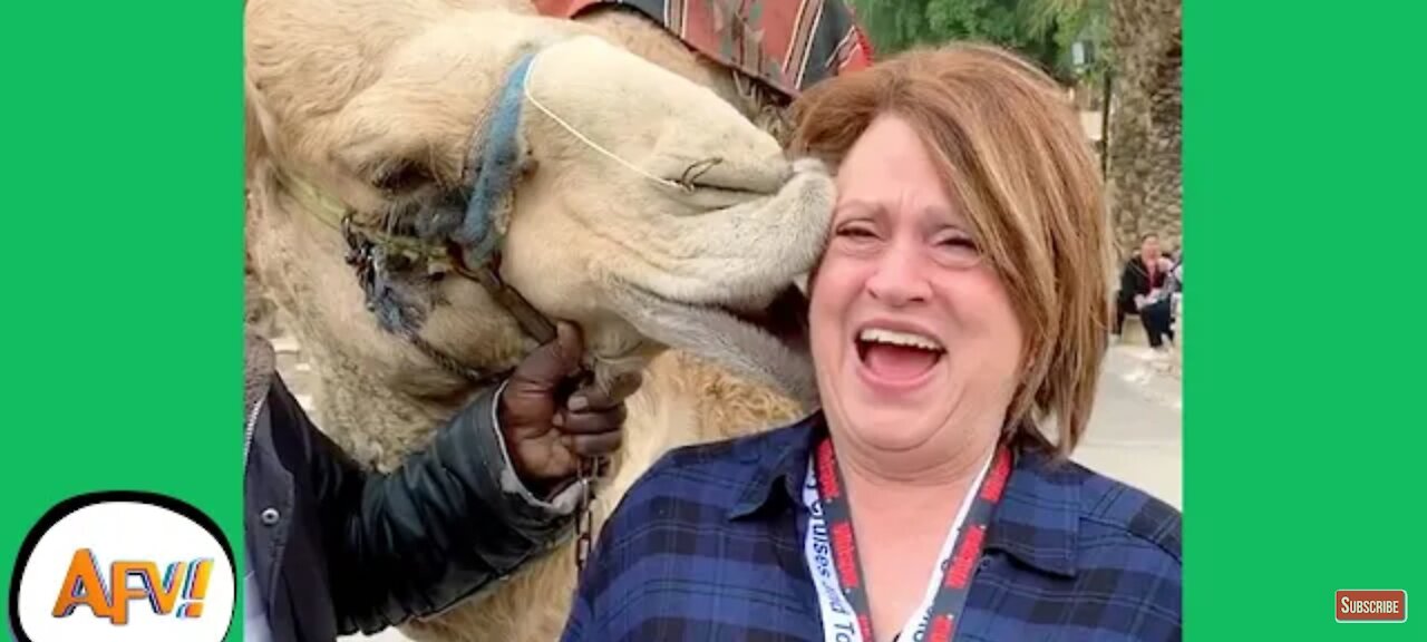 rumble/Funny moment with animal 2021