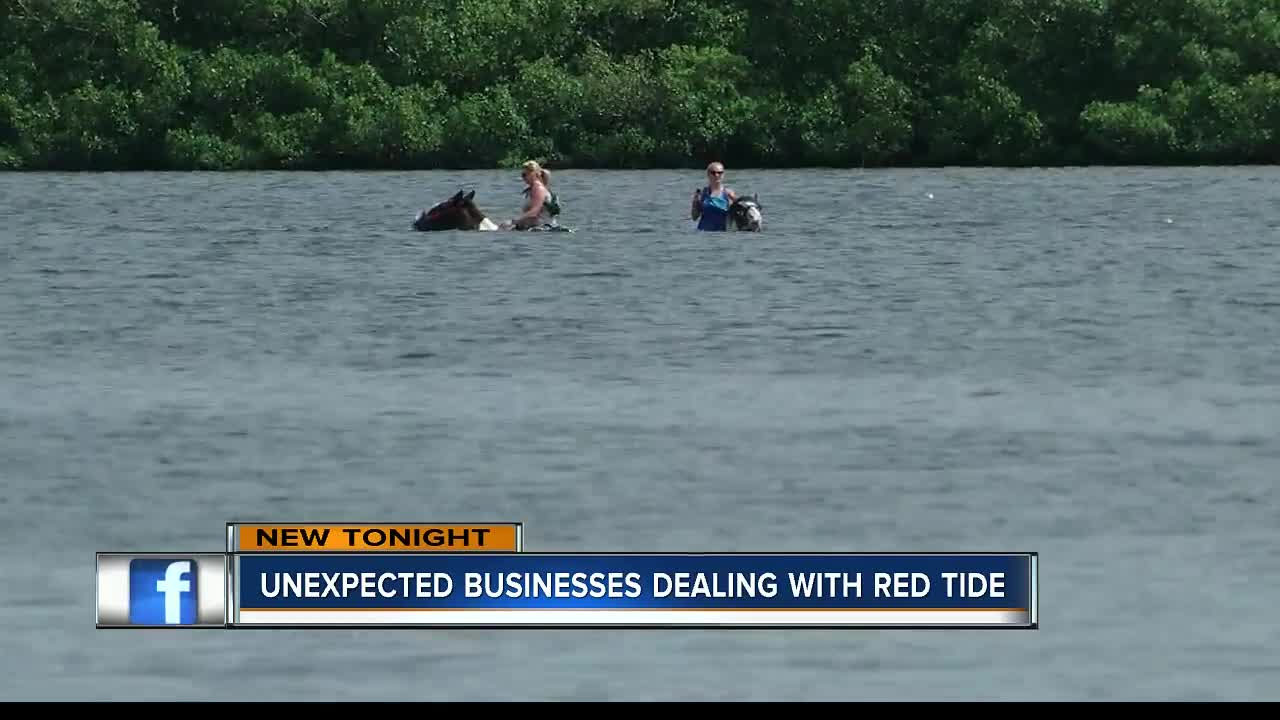 Businesses cutting staff hours due to red tide outbreak