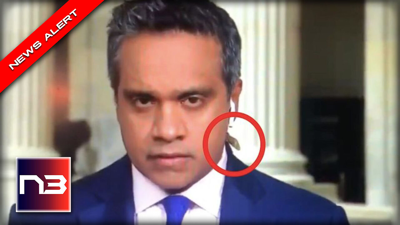 CNN Reporter Absolutely Loses It As Huge Bug Crawls Up His Neck On Camera