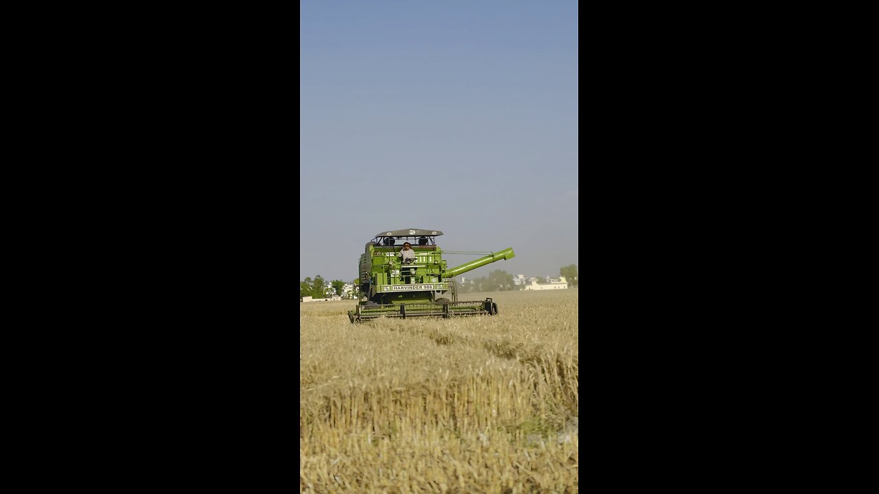 Farming in punjab