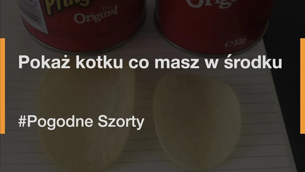 Pokaż kotku co masz w środku | Pogodne Szorty