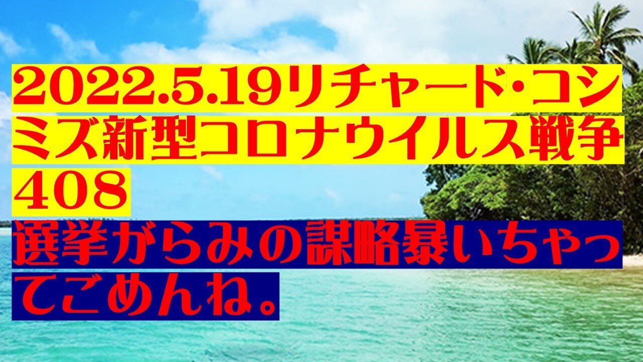 2022.05.19 リチャード・コシミズ新型コロナウイルス戦争408