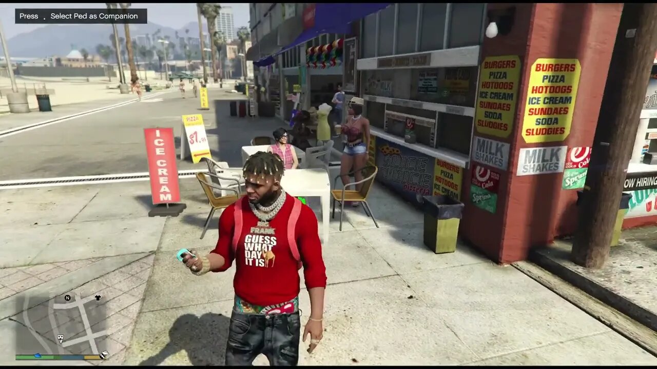 GTA 5 Player Companion Mod