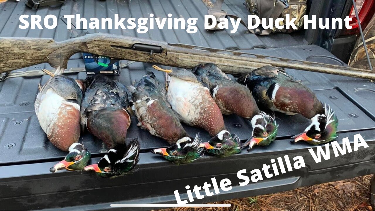 Little Satilla WMA Thanksgiving Day Duck Hunt