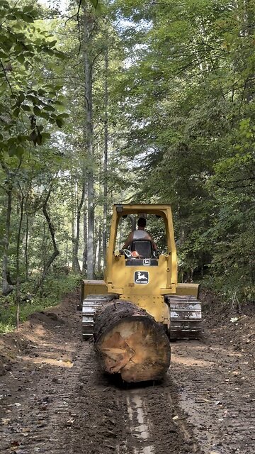 Good size pine heading out 🌲 🪵