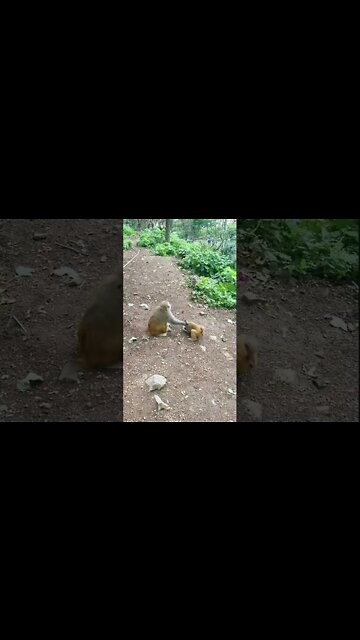 Most Amazing and trending video||relaxing your mind||trendig videos|| #shorts #trending #viral #live