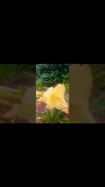 Go Hard. Lil Baby. Morning exercise song. 🚶‍♀️ 🚶‍♂️