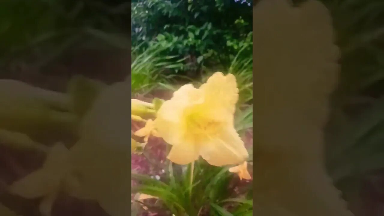 Go Hard. Lil Baby. Morning exercise song. 🚶‍♀️ 🚶‍♂️