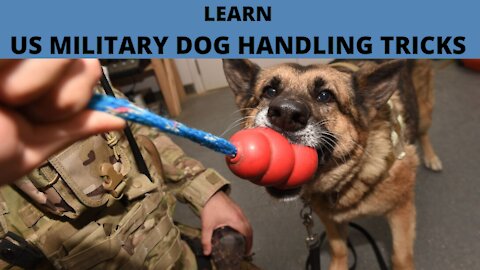 LEARN US MILITARY DOG HANDLING TRICKS FOR FREE