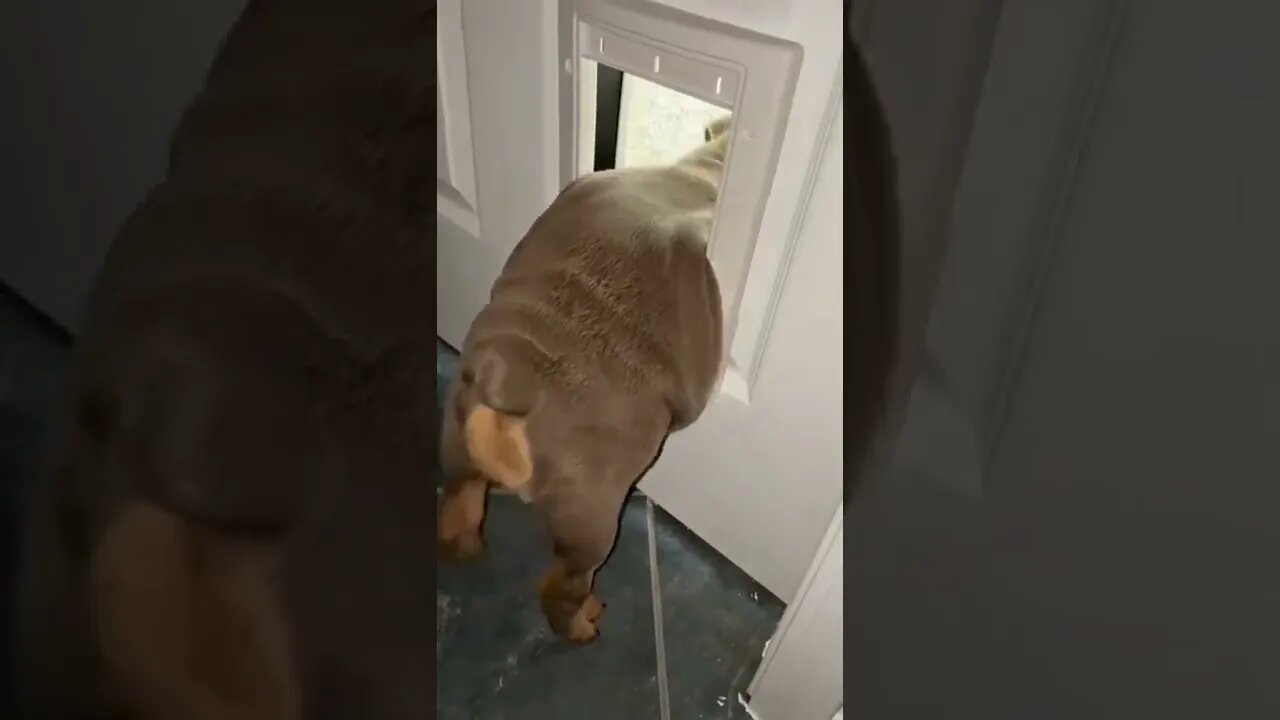 Million dollars Question !, Have you ever experience this ?? #short