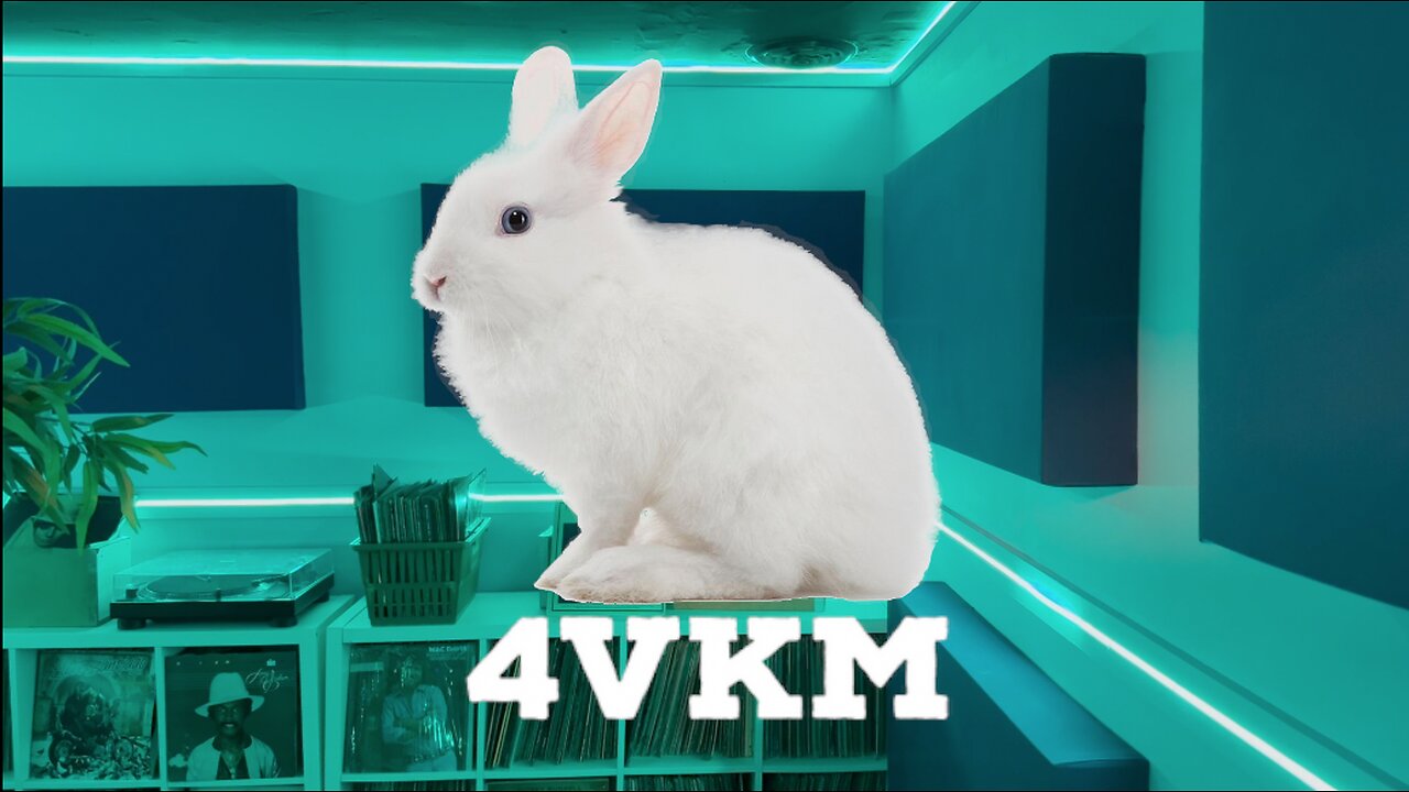 40 Days of 4VKM - Episode 33: Follow the White Rabbit