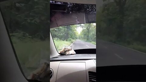 एक खूबसूरत नजर के धोखे में आ गए