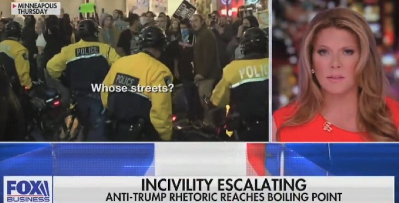 Fox Business host Trish Regan warns of 'emotional civil war' and leftist violence