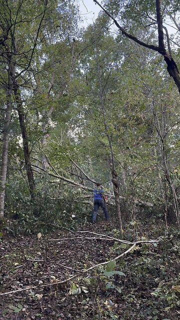 Cleaning up the road to the sugar bush