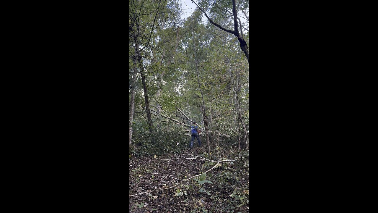 Cleaning up the road to the sugar bush