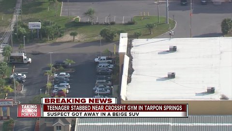 16-year-old stabbed outside Tarpon Springs Crossfit, police searching for suspect