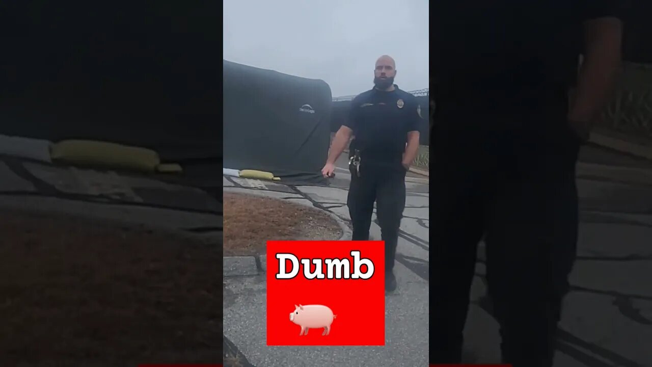 pigs be pigs