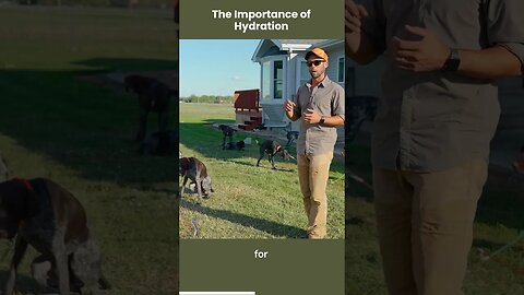 Keeping Your Hunting Dogs Hydrated