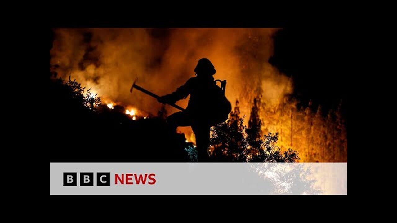 Wildfires in Hawaii, Canada and Tenerife cause concern - BBC Live