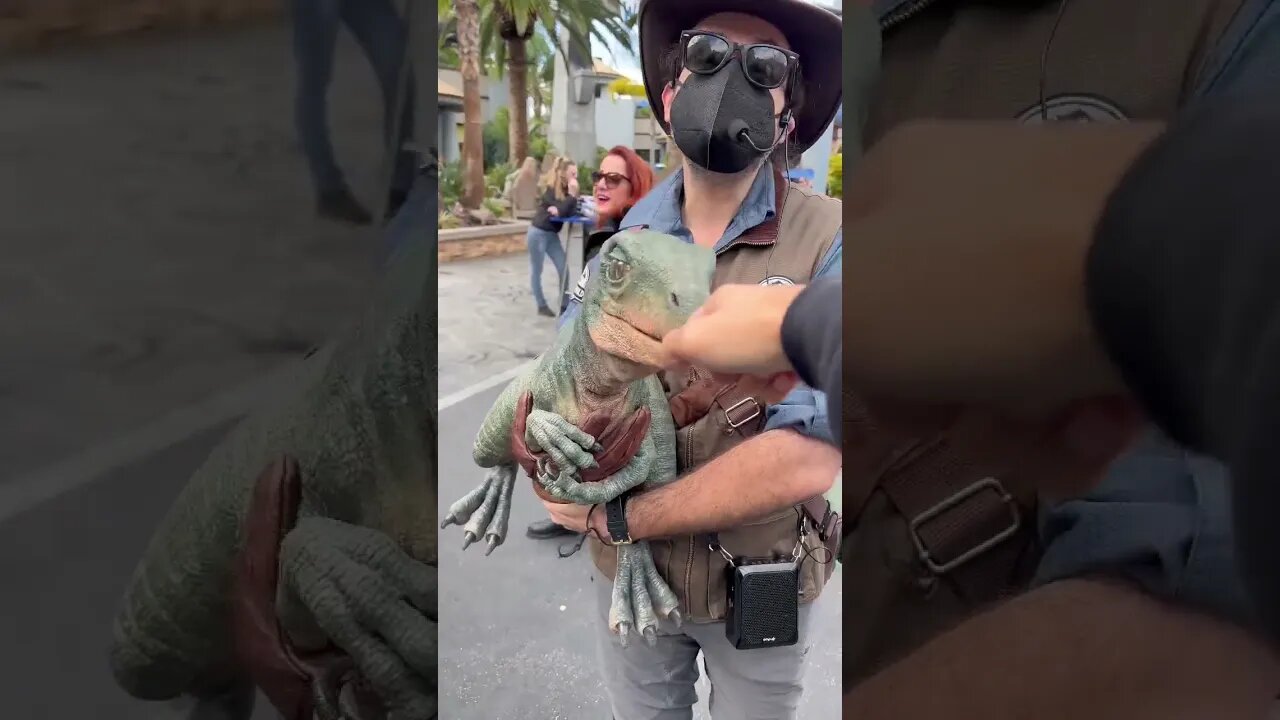 Will Baby Tango BITE Me? #shorts