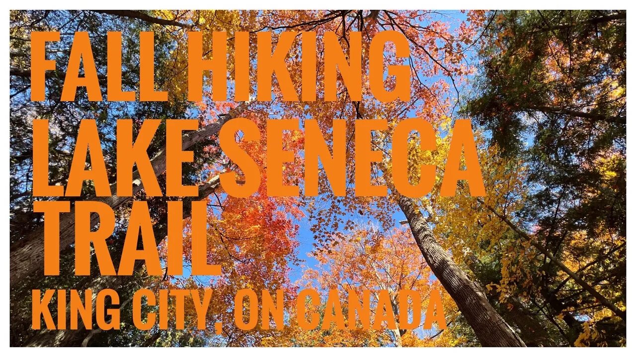 Lake Seneca Trail | Fall Colours | Golden Fall Colours | King City, ON 🇨🇦 | Hiking | Relive | 4K