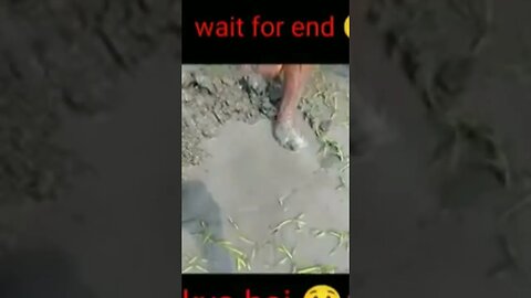 #Fishing video from Assam