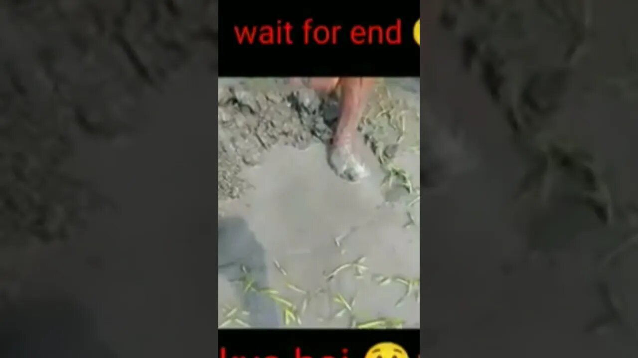 #Fishing video from Assam