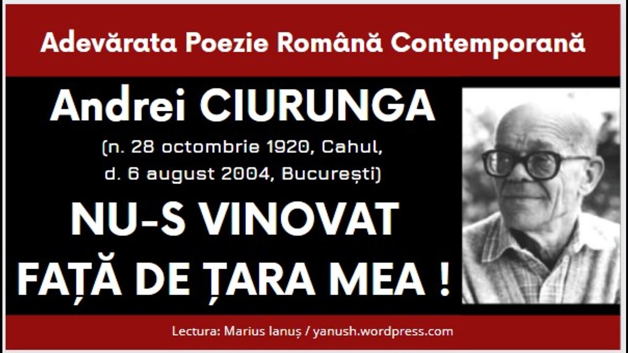 Andrei Ciurunga - NU-S VINOVAT FAȚĂ DE ȚARA MEA !