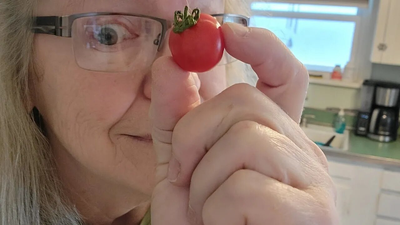 What's up with this?? #cherrytomatoes #carnivorelife