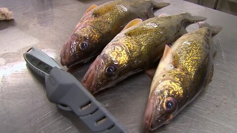 MidWest Outdoors TV Show #1663 - Walleye on Devils Lake with the Skinzit Crew.