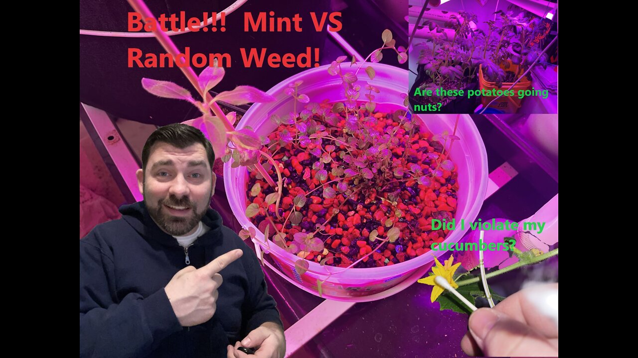 The Indoor Farmer, With Jeremy & Waylon EP #33. Continuing To Learn As I Run Into Technical Issues