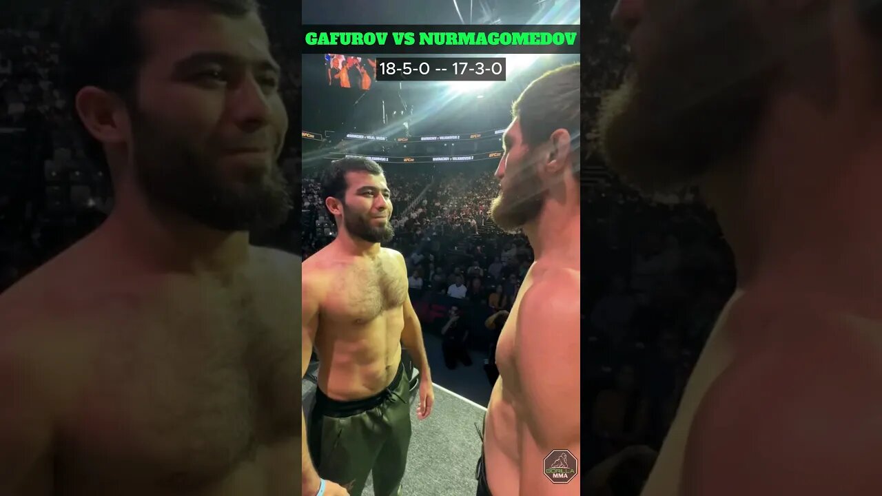 Said Nurmagomedov vs. Muin Gafurov: UFC 294 Face-off #ufc294