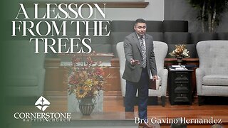 A Lesson From The Trees--Wed PM--Oct 23, 2024