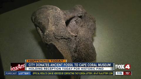 City of Cape Coral donates historic fossil