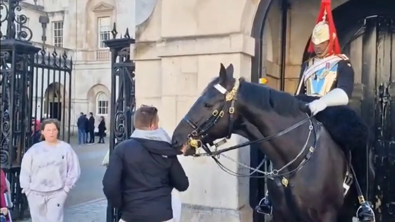 Pulling on the hood #horseguardsparade