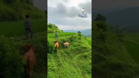 FLY HIGH WITH BEAUTIFUL NATURE