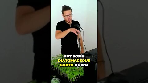 Unlock the Benefits of Diatomaceous Earth for People, Pets and Moringa Plants