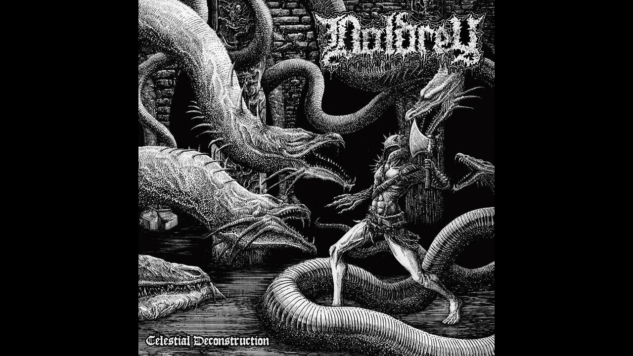 Pulverised Records & Iron Lung Records - Doldrey - Celestial Deconstruction - Video Review