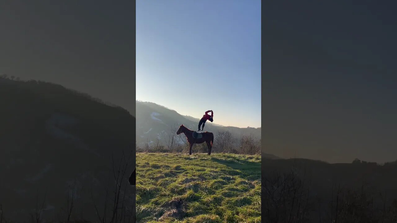 🌅🐴 #sunset #horses #backflip